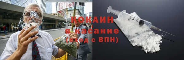 ГАЛЛЮЦИНОГЕННЫЕ ГРИБЫ Аркадак