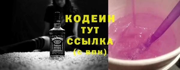 ГАЛЛЮЦИНОГЕННЫЕ ГРИБЫ Аркадак