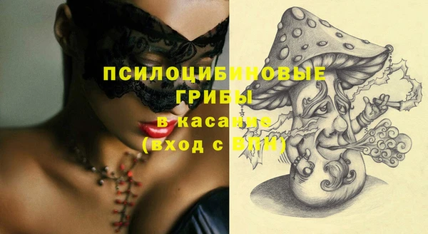 ГАЛЛЮЦИНОГЕННЫЕ ГРИБЫ Аркадак