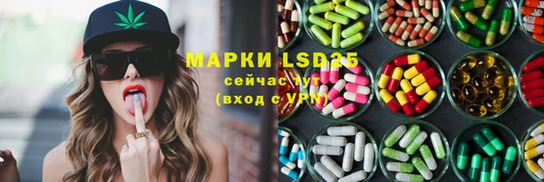 ГАЛЛЮЦИНОГЕННЫЕ ГРИБЫ Аркадак