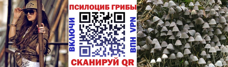 Галлюциногенные грибы прущие грибы  Новороссийск 