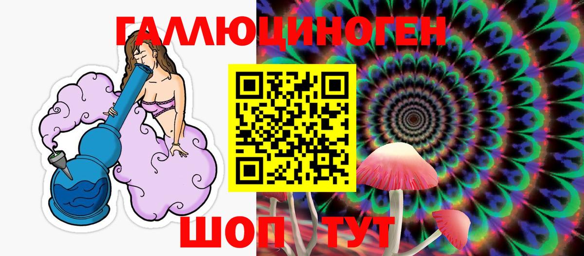 Галлюциногенные грибы GOLDEN TEACHER  Вход с VPN  Новороссийск 