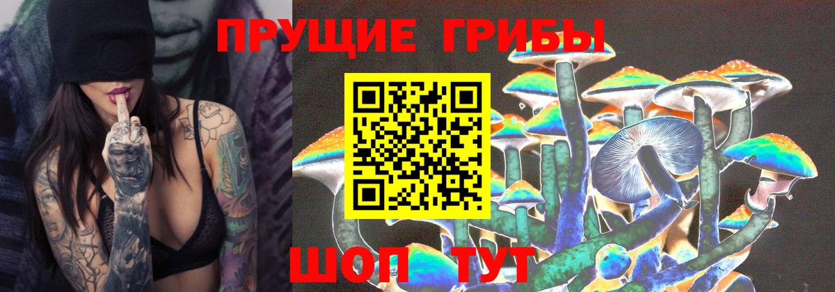 Псилоцибиновые грибы Cubensis Новороссийск
