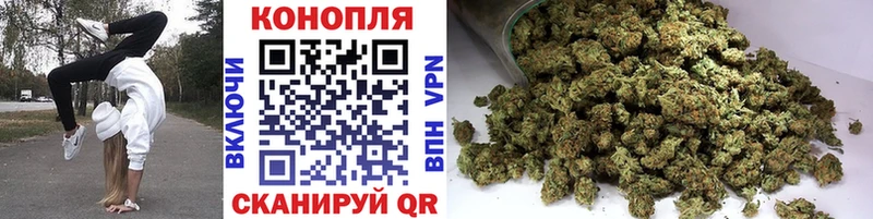 купить наркотик  Новороссийск  Марихуана гибрид 